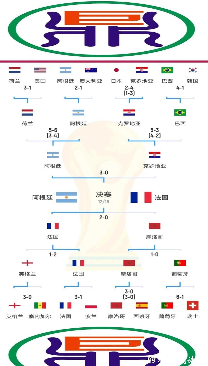 世界杯比赛结果数据全解析